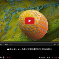 【TED】大自然不為人知的奧秘 Louie Schwartzberg: Hidden miracles of the natural world