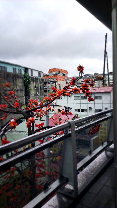 11164137_804023093017178_561290764_n