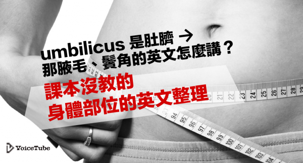 Umbilicus 是肚臍 那腋毛 鬢角的英文怎麼講 課本沒教的身體部位的英文整理