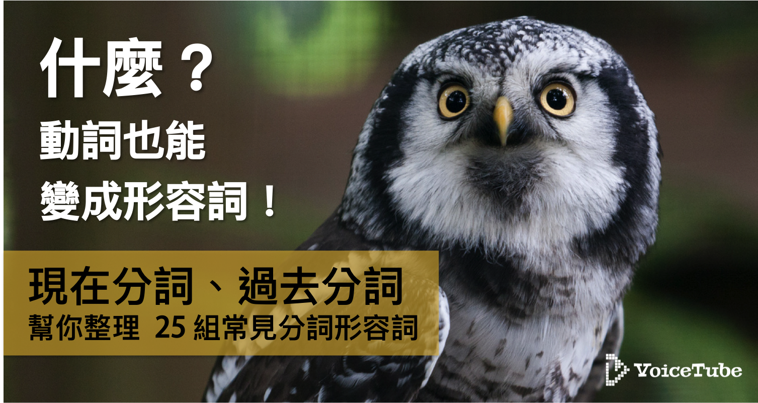 動詞也可以變成形容詞 整理25 組超常見分詞形容詞