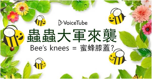 bees-knees-blog