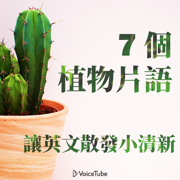 7 個一定要學的植物相關英文片語 讓你的英文充滿小清新